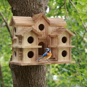 SELENAIRE Large Bird House with B0FBWTKM13