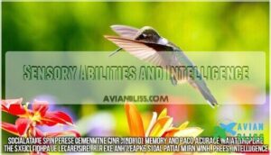 sensory abilities and intelligence sensory abilities and intelligence