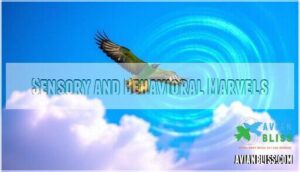 sensory and behavioral marvels sensory and behavioral marvels