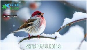 sharp call notes sharp call notes