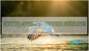 shutter speed and aperture guidelines shutter speed and aperture guidelines
