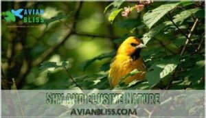 shy and elusive nature