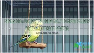signs of a lonely budgie