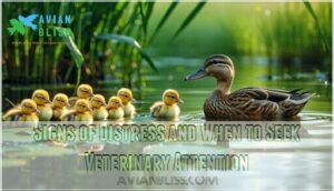 signs of distress and when to seek veterinary attention