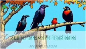 similar aggressive bird species