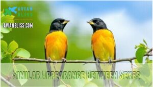 similar appearance between sexes