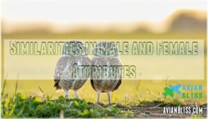 similarities in male and female attributes