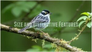 size and distinctive features