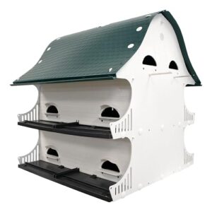 S&K American Barn Purple Martin B01J05SLMO