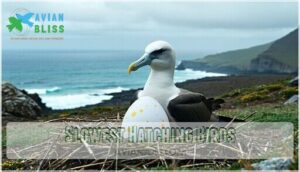 slowest hatching birds