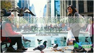 social aspects of feeding pigeons in urban areas