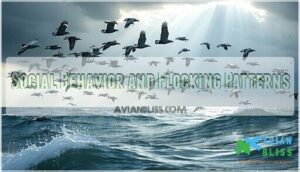 social behavior and flocking patterns