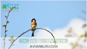 song and vocalizations