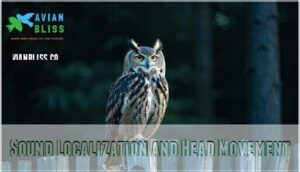 sound localization and head movement