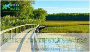 southeast wetlands and coastal areas