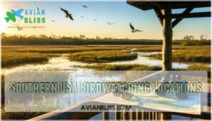 southern usa birdwatching locations
