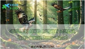 specialized hawks (northern goshawk, broad-winged, rough-legged)