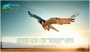speed and the “stoop” dive