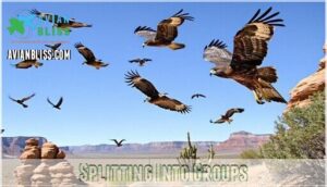 splitting into groups