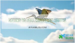 spring vs fall migration routes
