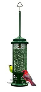 Squirrel Buster Legacy Squirrel Proof Bird B016KVKVQU