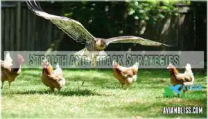 stealth and attack strategies