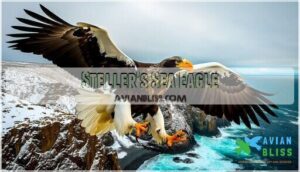 steller's sea eagle