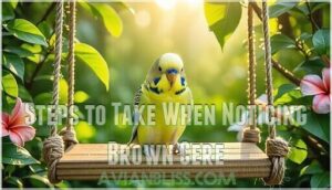 steps to take when noticing brown cere