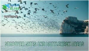 stopover sites and bottleneck areas