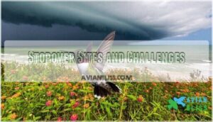 stopover sites and challenges