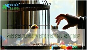 stress and environmental changes