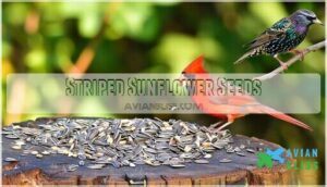 striped sunflower seeds