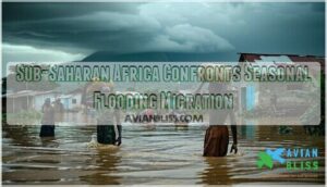 sub-saharan africa confronts seasonal flooding migration