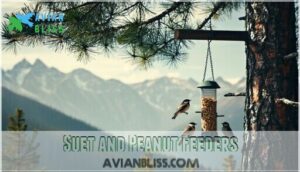 suet and peanut feeders