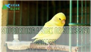 supporting a sick or stressed canary