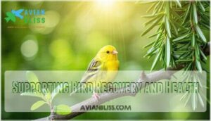supporting bird recovery and health