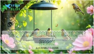 supporting birds through molting season