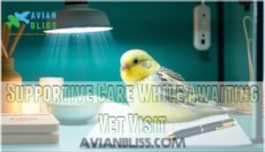 supportive care while awaiting vet visit