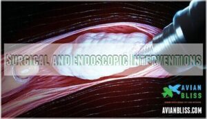 surgical and endoscopic interventions