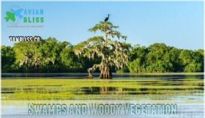 swamps and woody vegetation