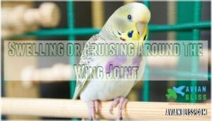 swelling or bruising around the wing joint