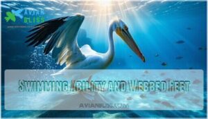 swimming ability and webbed feet