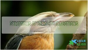 symptoms of bird eye infections