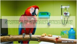 symptoms of gastrointestinal upset