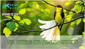 tail fanning and flicking behavior