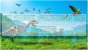 the gradual evolution of bird features