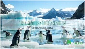 the nature of penguins