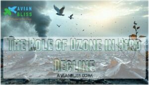 the role of ozone in bird decline the role of ozone in bird decline