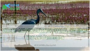 threats and conservation efforts, including wetland protection