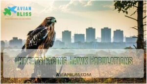 threats facing hawk populations